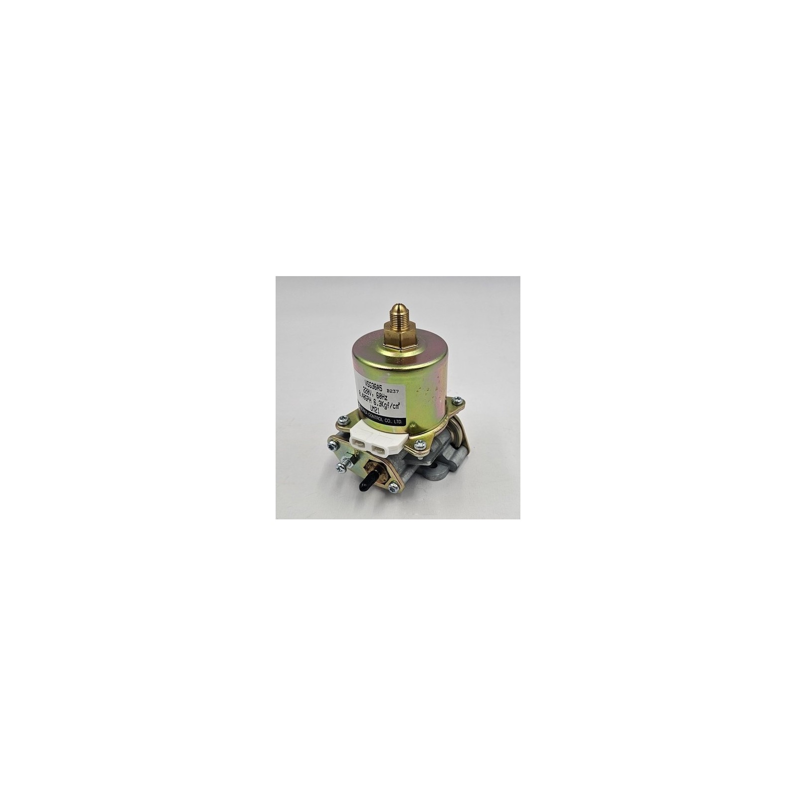 DHOE heater fuel pump