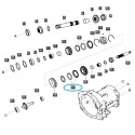 Pierścień stożkowy synchronizacji biegu, potrójny TRG281 / LS Tractor / 40031650 | Traktor.com.pl