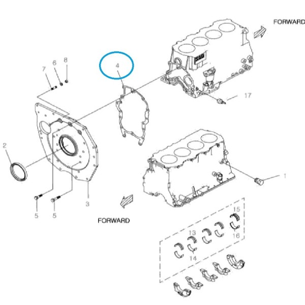 Těsnění motoru / LS R41 / LS R43 / LS R50 / LS R60 / LS U43 / LS U50 / LS U60 / EGQ155 /40281501