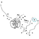 Bouton de régulateur de vitesse / TRG292 / Tracteur LS / 40426506 /40558986