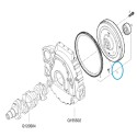 Setrvačník 504272760 FPT / LS Traktor / 40224572