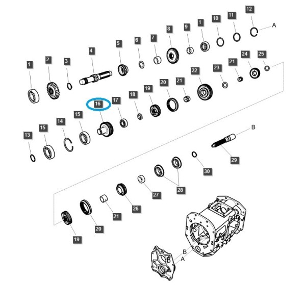 Zębatka przekładni zakresu / TRG281 / LS Tractor / 40009163 / A1281622 | Traktor.com.pl