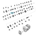 Zębatka przekładni zakresu / TRG281 / LS Tractor / 40009163 / A1281622 | Traktor.com.pl