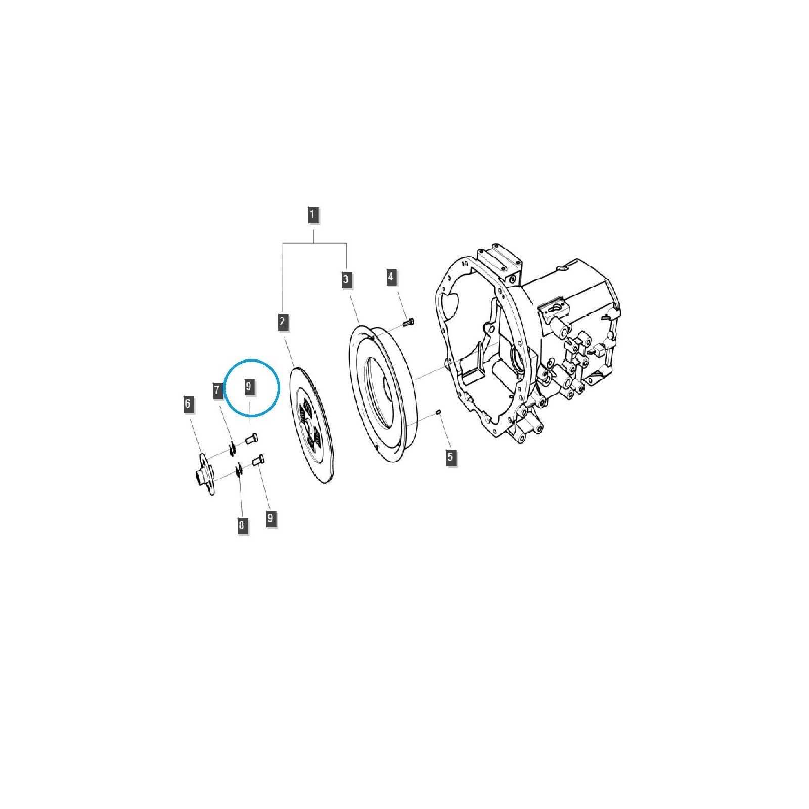 Clutch disc mounting bolt TRG250 / LS Tractor / 40009925