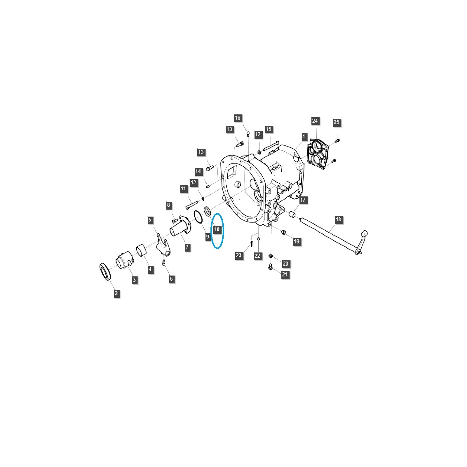Dichtring / 40289788 / LS Tractor | Traktor.com.pl