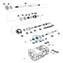 Piñón de transmisión del eje de la toma de fuerza (PTO) / TRG287 / Tractor LS 40009076 | Traktor.com.pl