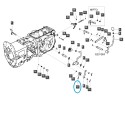 Levier de vitesses A1290089 / TRG290 / Tracteur LS / 40012466