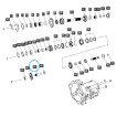 Hřídel, ozubené kolo zpětného chodu / TRG281 / LS Tractor / 40309714 | Traktor.com.pl