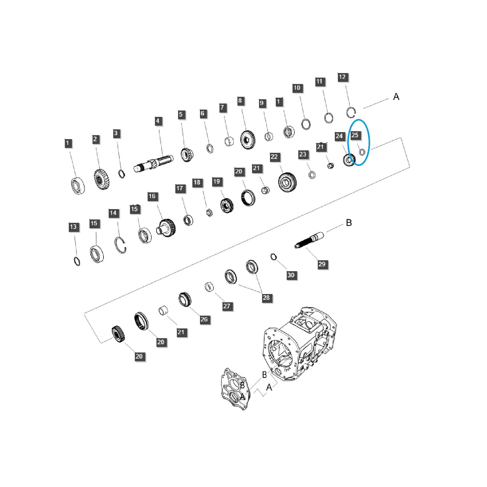 copy of Arbre intermédiaire de transmission PTO/PTO / TRG287 / Tracteur Ls 40196985