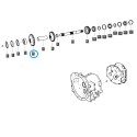 Ozubené koleso / R/DRV (39R) / TRG281 / Ls Traktor 40220407