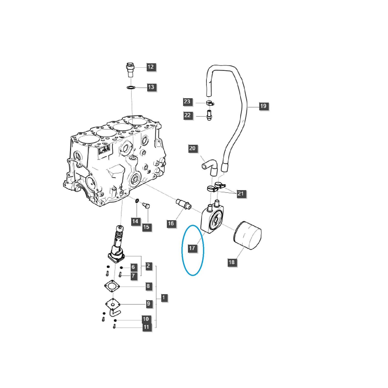 Oil Cooling System Hose / EGQ135 / LS Tractor / No. 40266147 | Traktor.com.pl