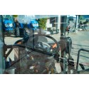 Kubota KB205 4x4 - 20,3 PS