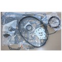 Cost of delivery: Gasket Set D1703