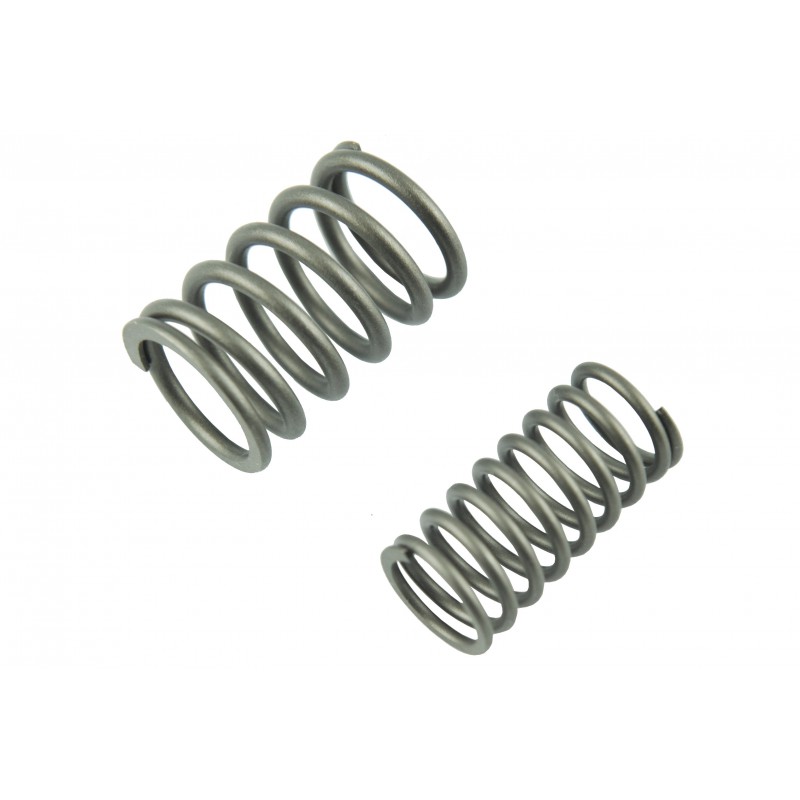 all products  - Springs (2 pcs) of the Changchai ZN490QA valve of the DWC-40 chipper.