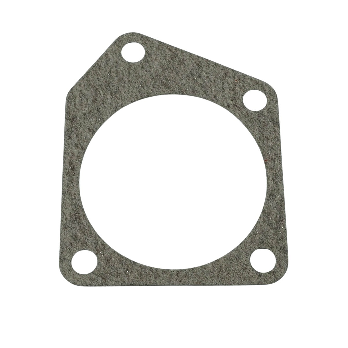other seals - Gasket / LS Tractor / No. 40109215