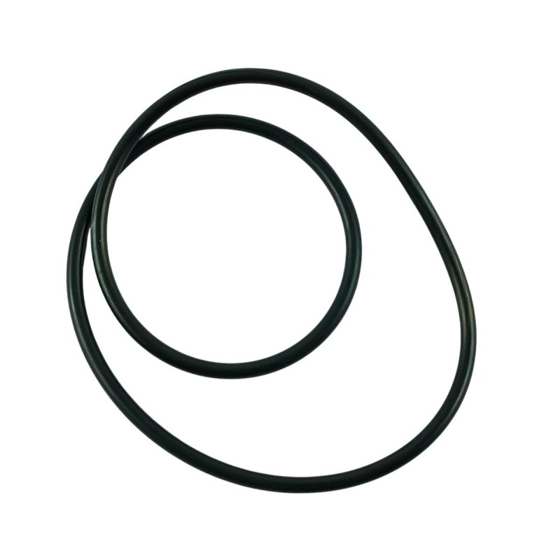 dichtstoffe - O-Ring Nr. 40117183 LS Traktor