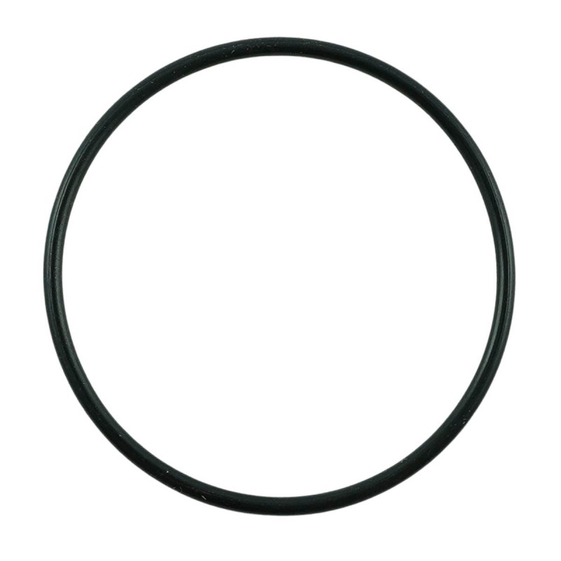 pozostale uklad paliwowy  - O-Ring filtra paliwa / LS Tractor / nr 40223871