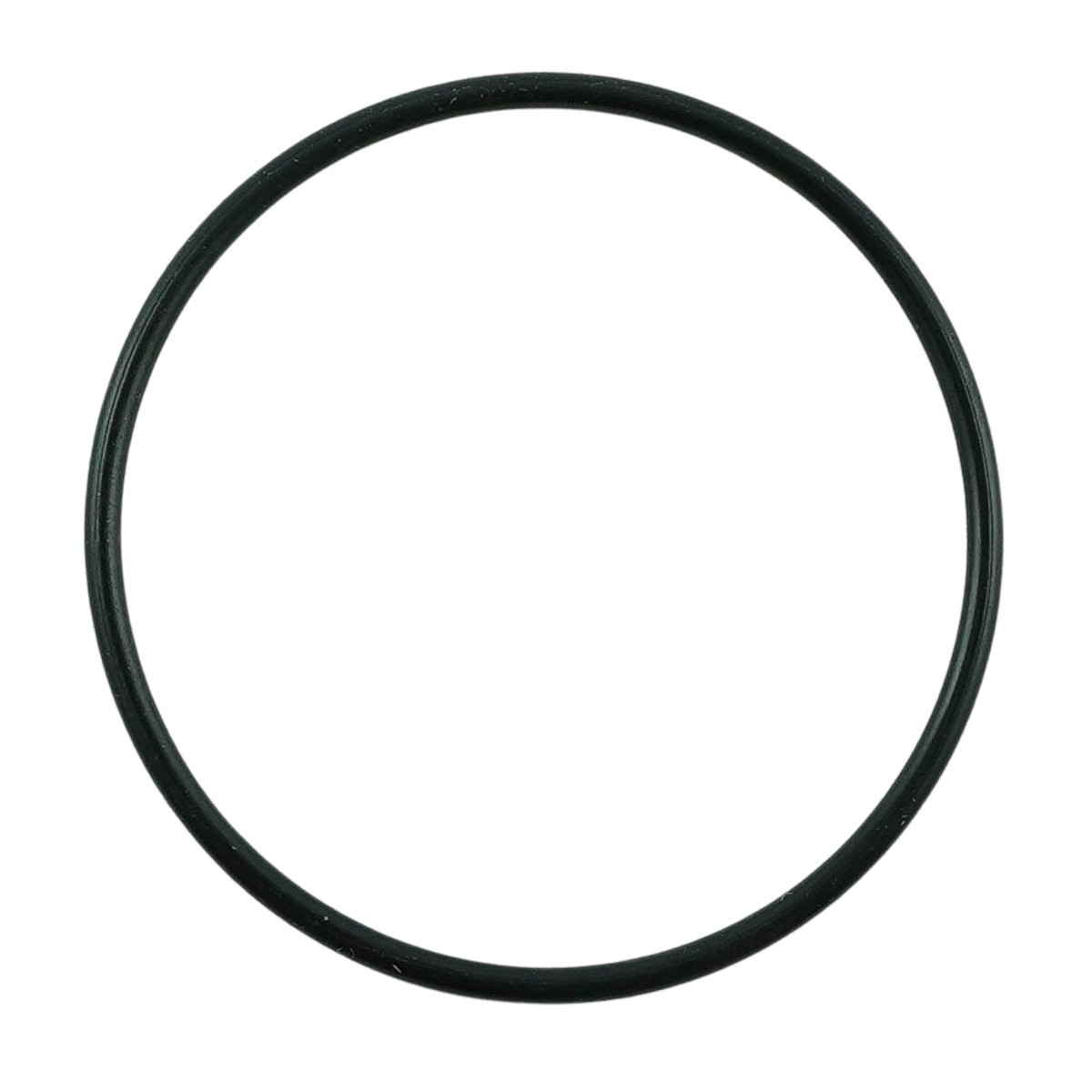 O-Ring filtra paliwa / LS Tractor / nr 40223871