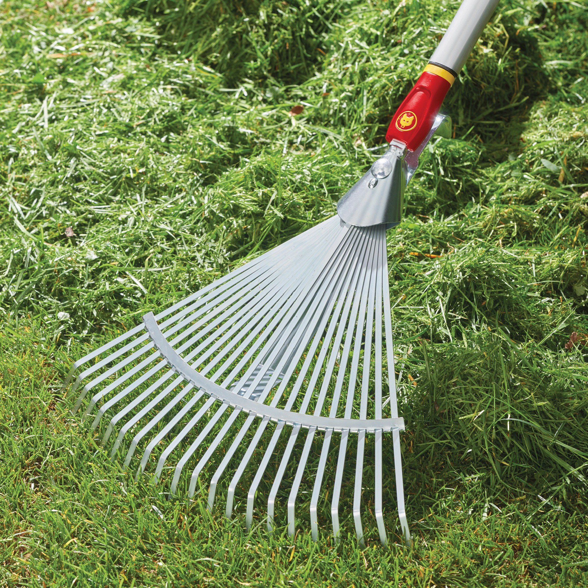 Image of Flail rake garden tool
