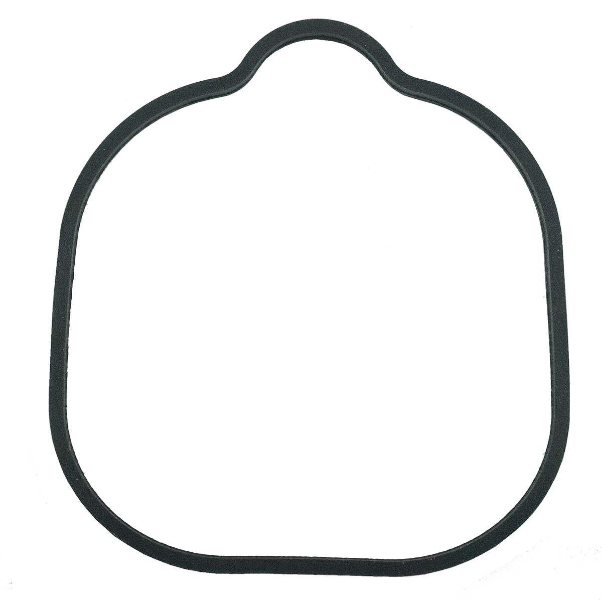 Engine housing gasket / LS MT1.25 / 119717-61070 / no. 40356066