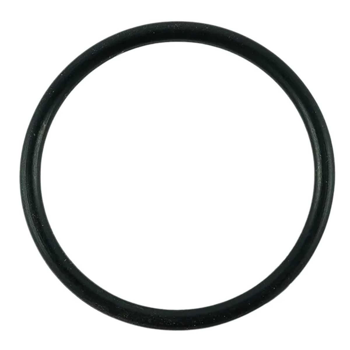 Junta tórica / S804026010 / n.° 40029246