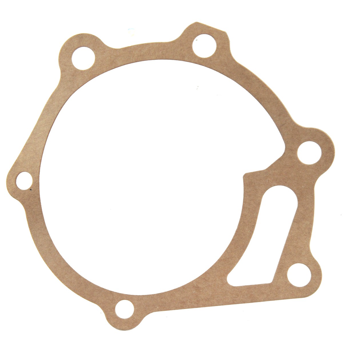 ls water pump gaskets