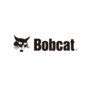Bobcat