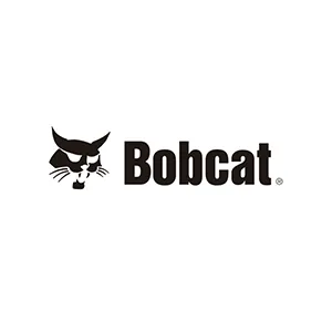 Bobcat