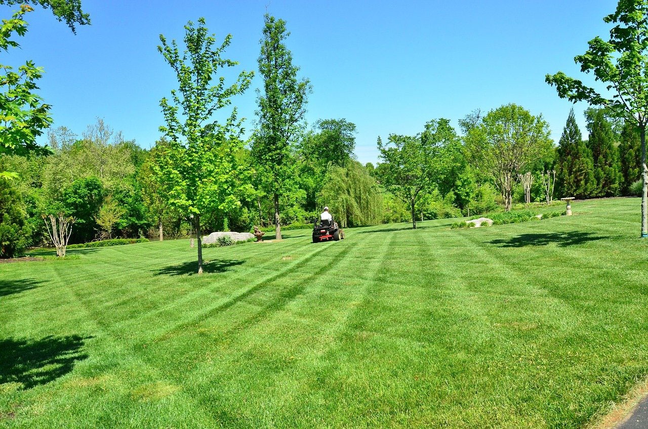 Why is it worth investing in a lawn tractor?
